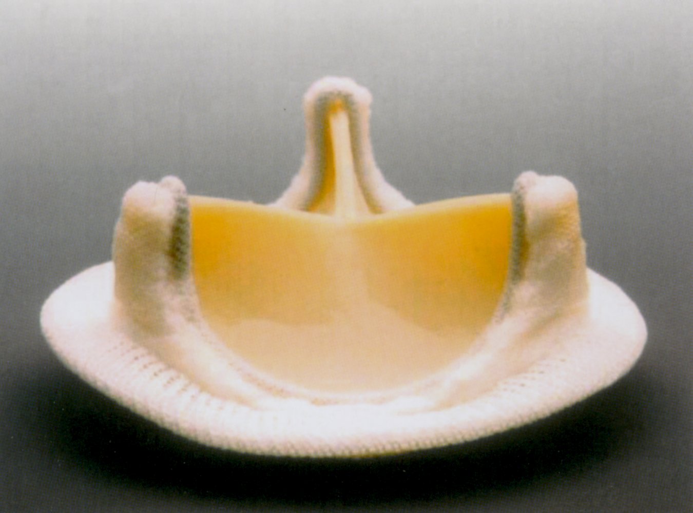 Biological prosthetic heart valve