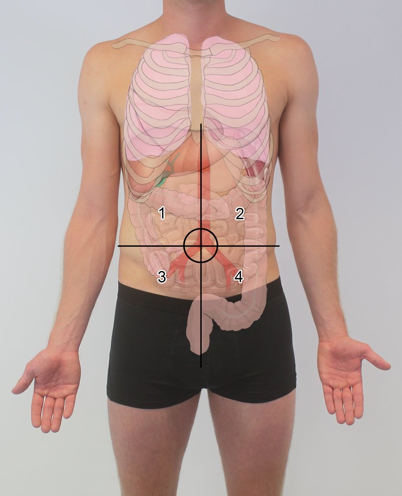 Abdominal quadrants