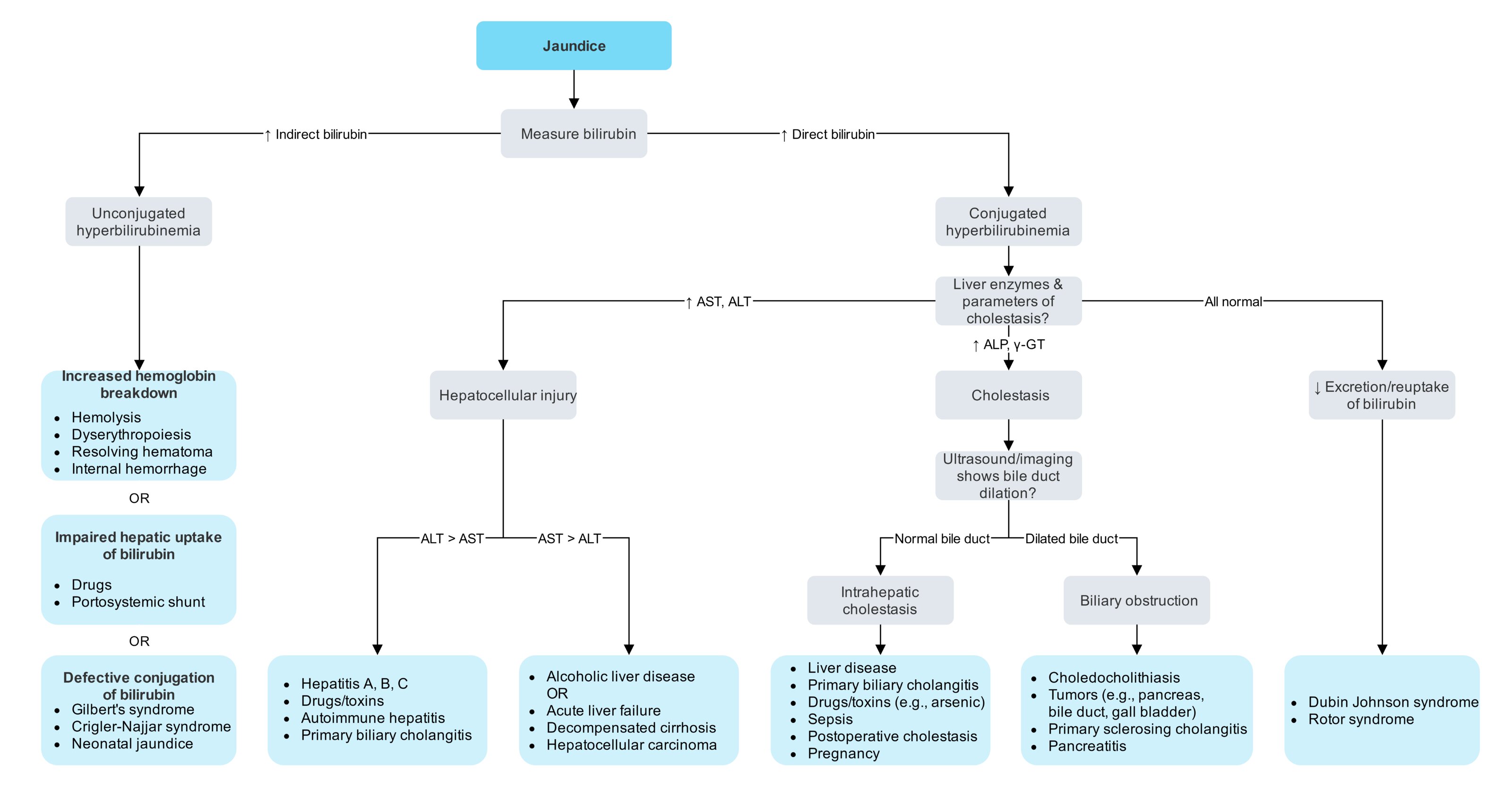 Differential diagnosis of jaundice