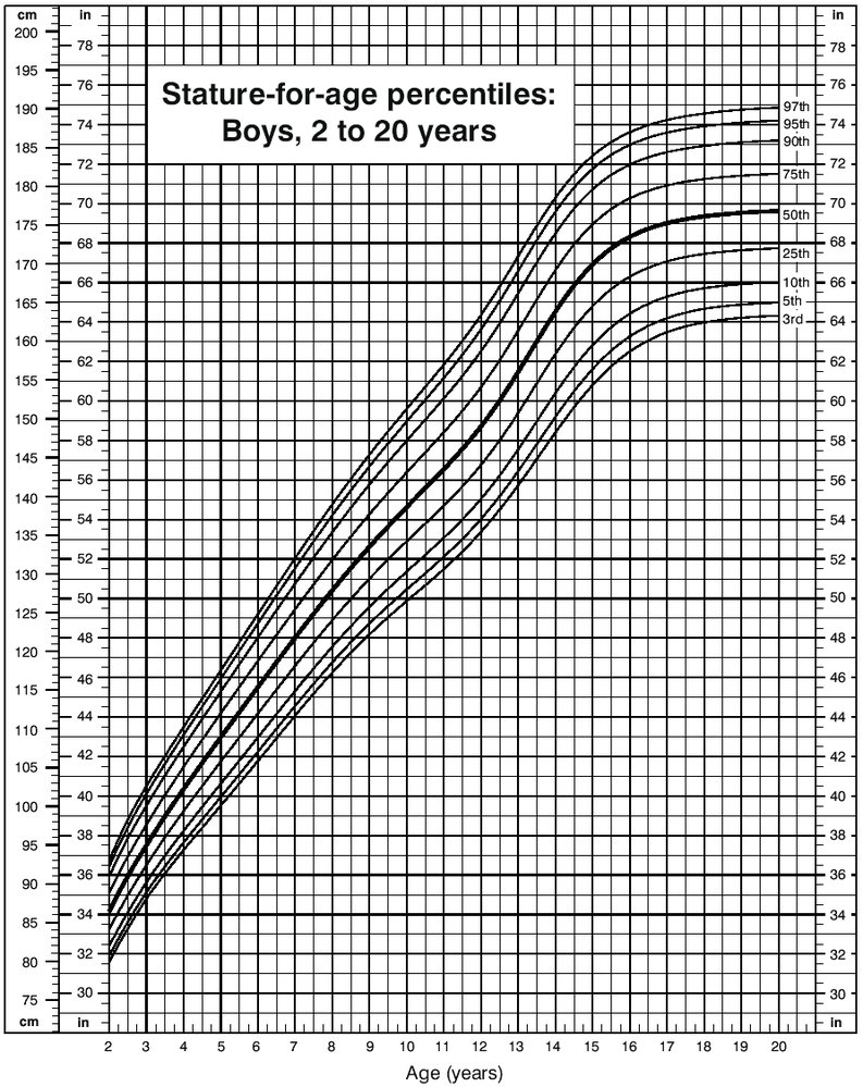 Stature-for-age percentiles (male individuals 2–20 years; 3ʳᵈ–97ᵗʰ percentiles)