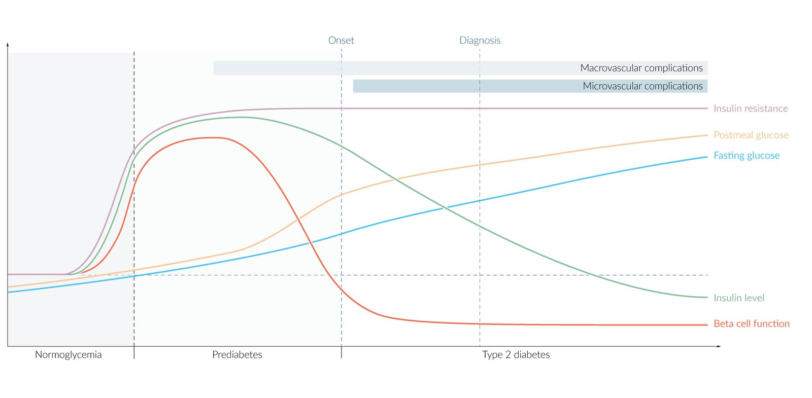 Disease progression in type 2 diabetes