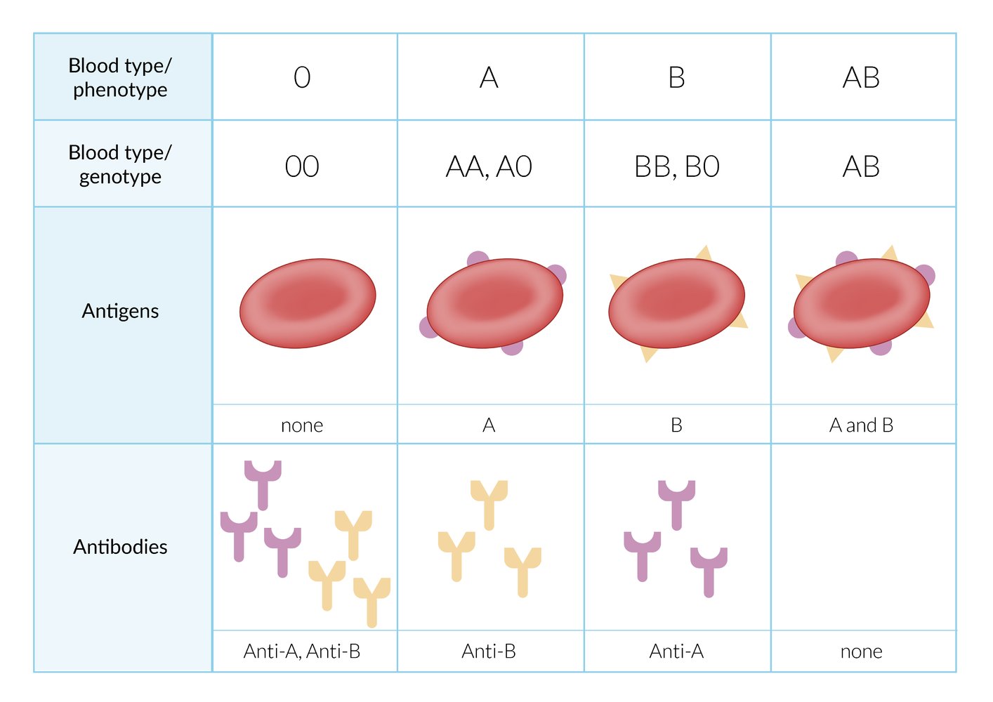 ABO blood group system