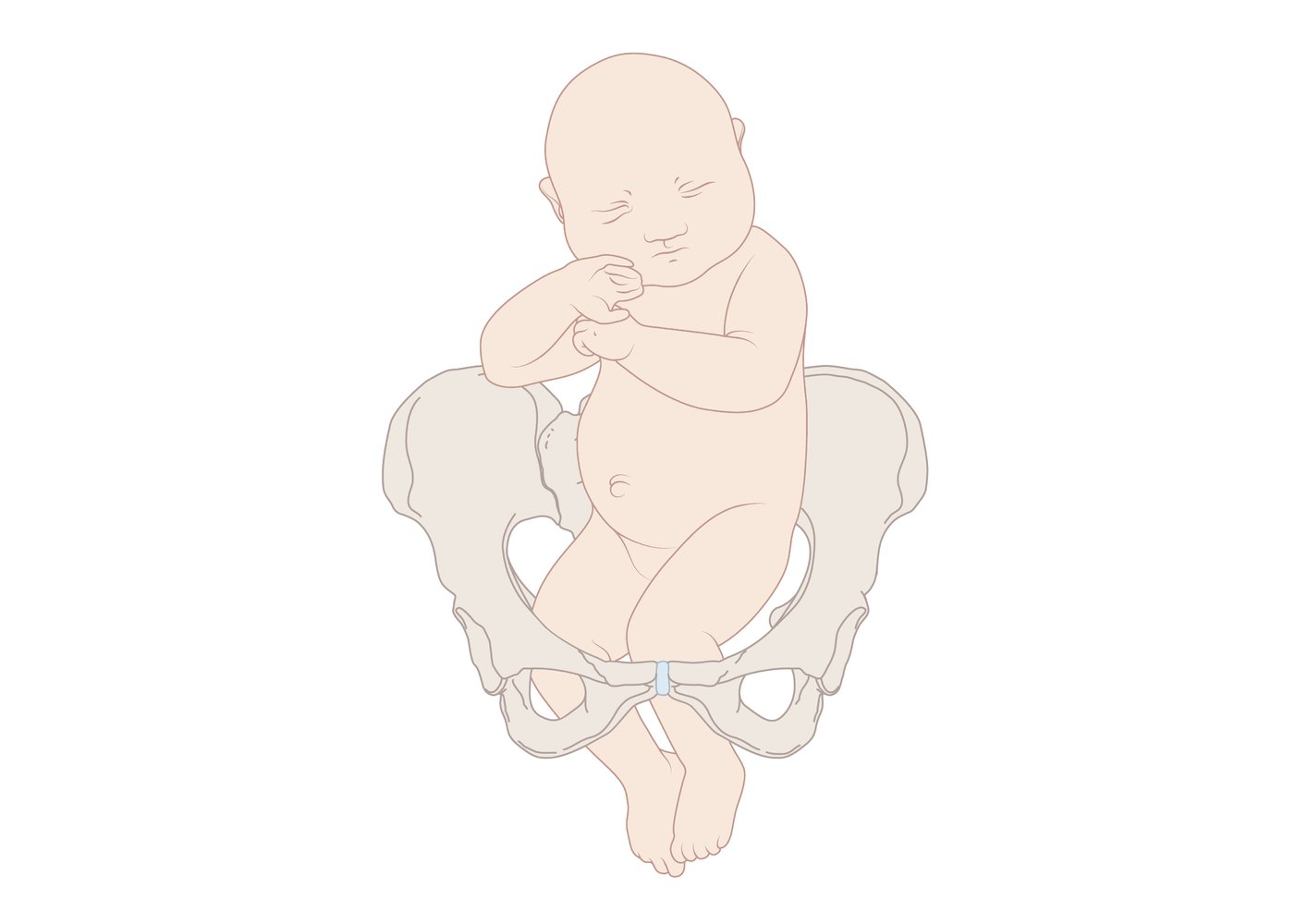 Types of breech presentation: Double Footling breech