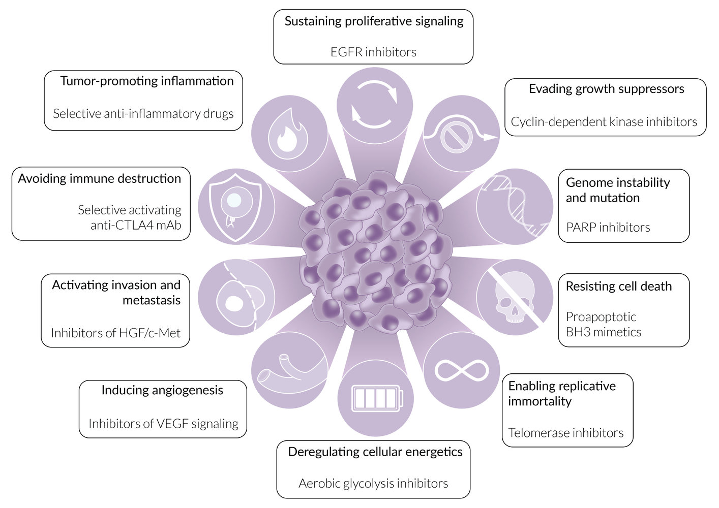Cancer hallmarks and treatment options
