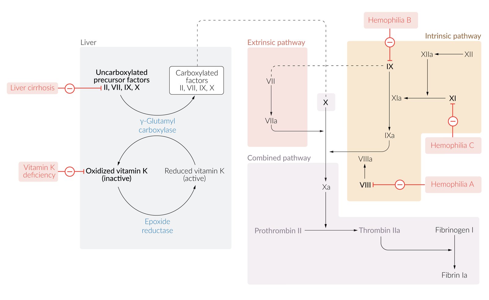 Disorders of secondary hemostasis