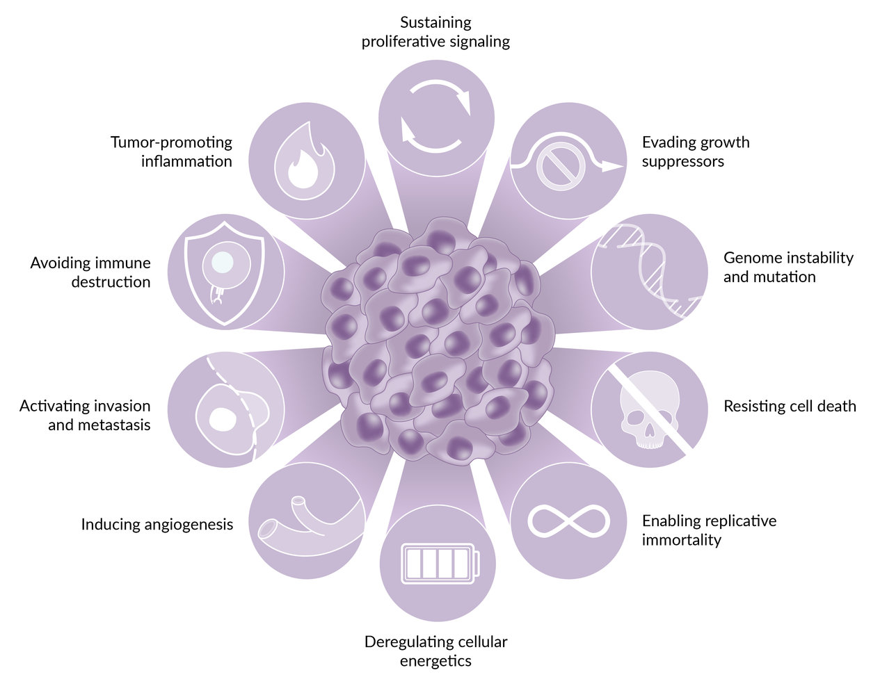 Cancer hallmarks
