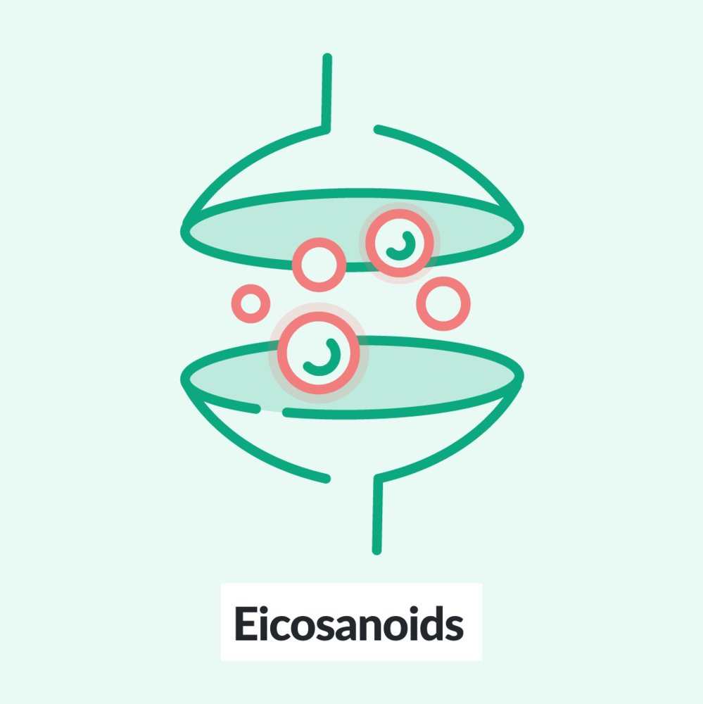 Chalk Talk: Eicosanoids