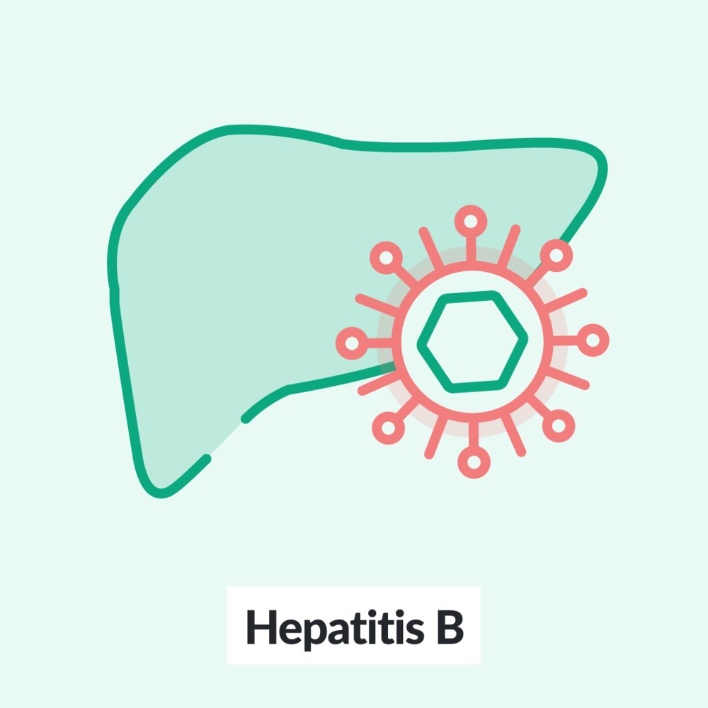 Hepatitis B - serology