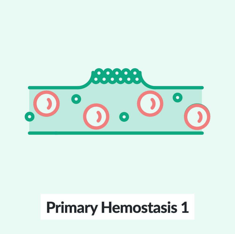 Chalk Talk: Primary hemostasis 1