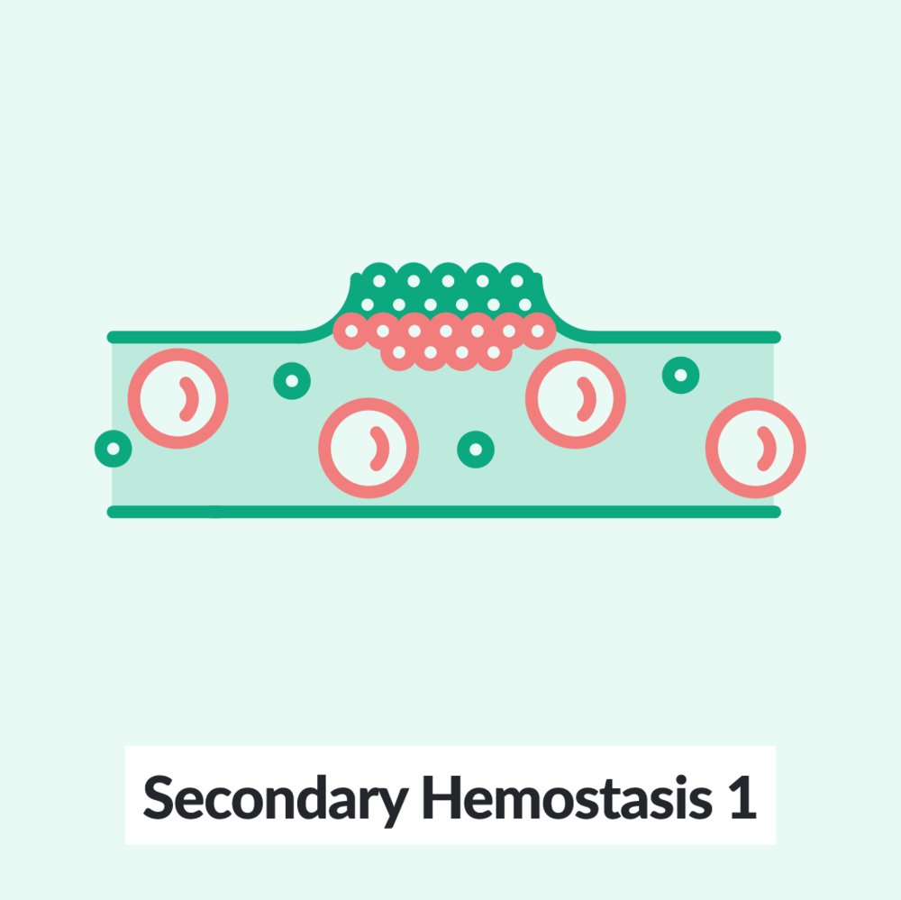 Chalk Talk: Secondary hemostasis 1
