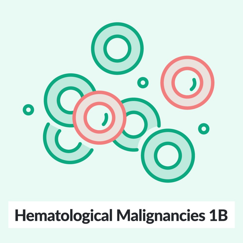 Chalk Talk: Hematological malignancies 1b