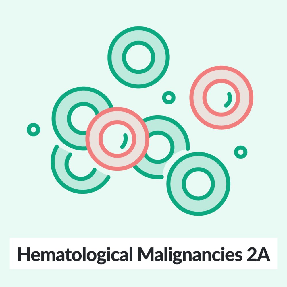 Chalk Talk: Hematological malignancies 2a