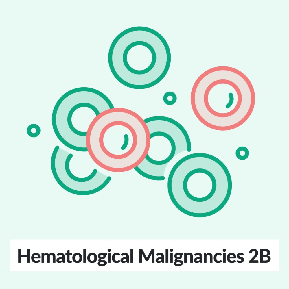 Chalk Talk: Hematological malignancies 2b