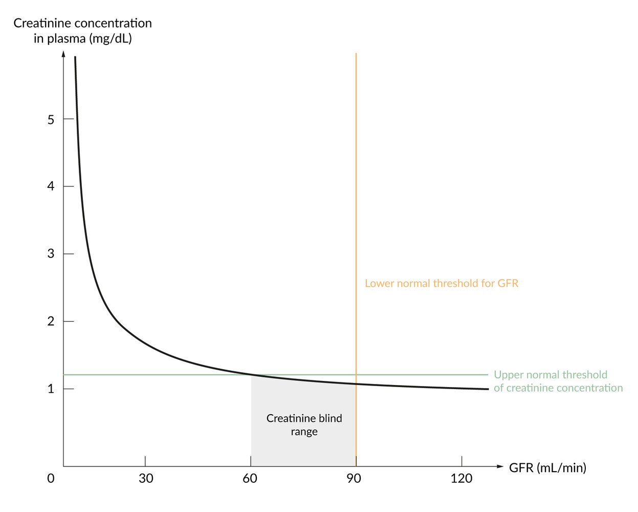 Creatinine concentration curve