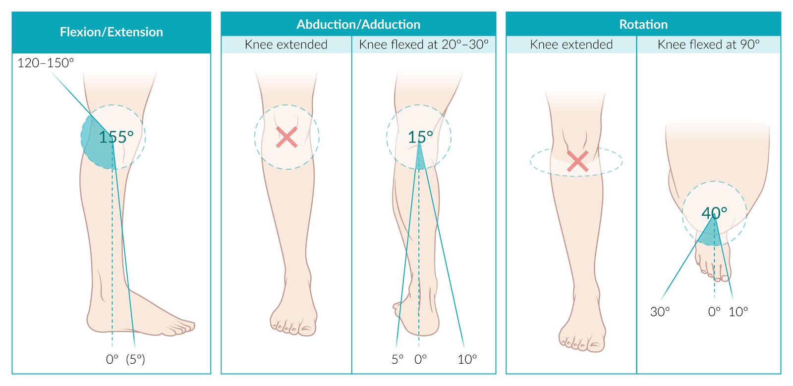 Physiological knee joint motion in three dimensions