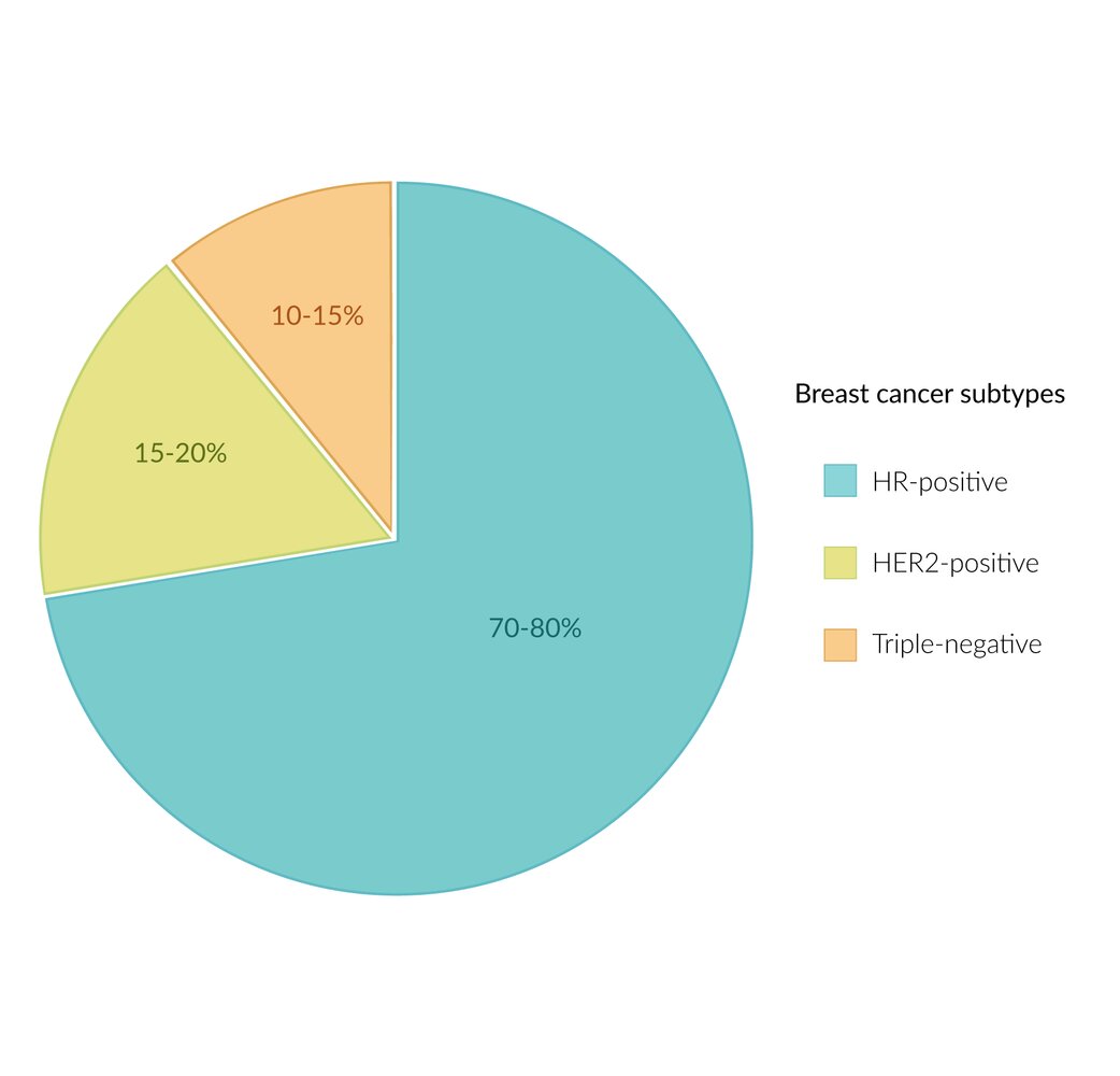 Breast cancer subtypes