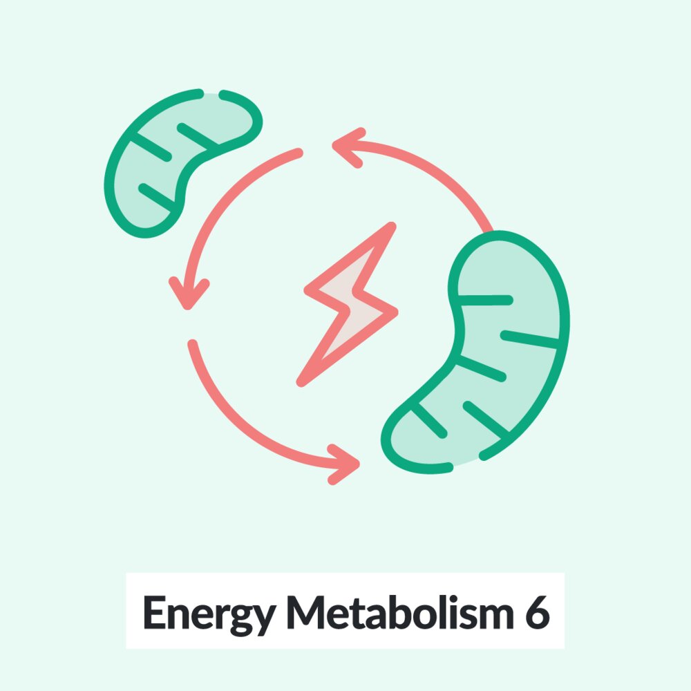 Chalk Talk: Energy Metabolism - Part 6 (with molecular structures)