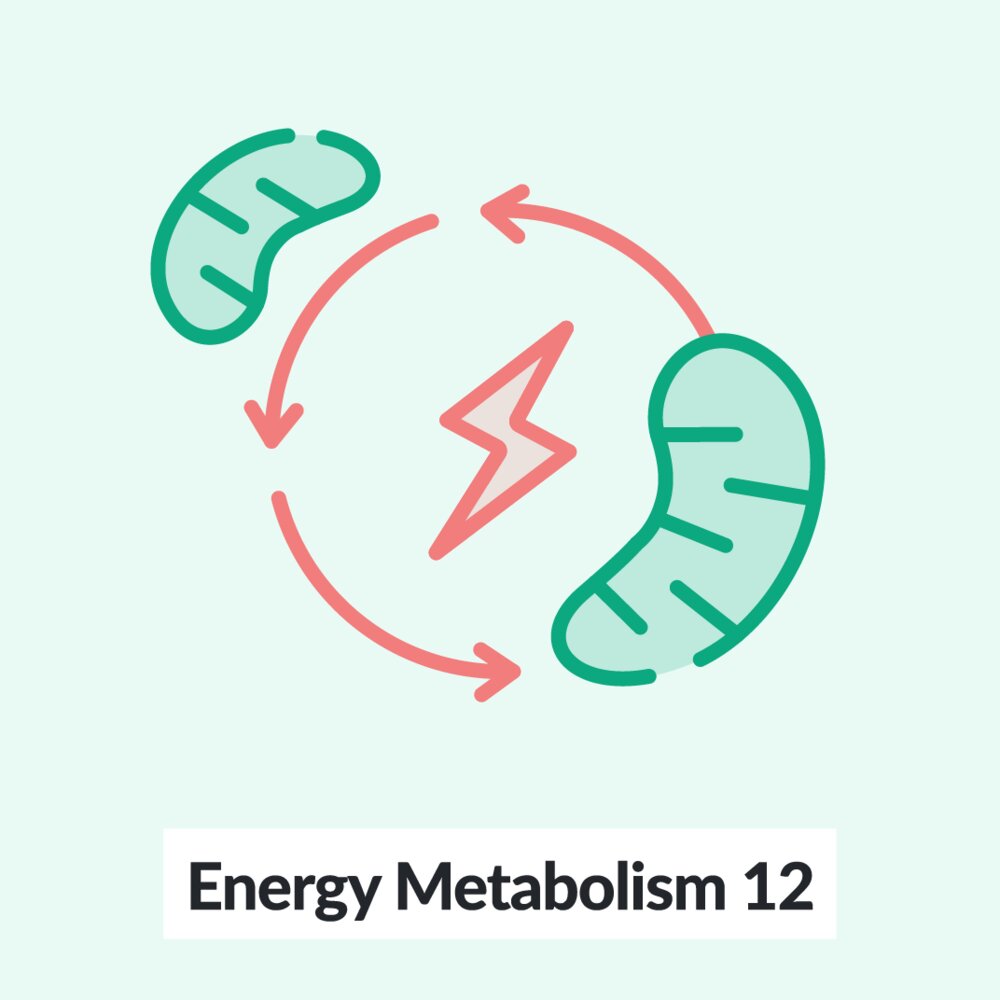 Chalk Talk: Energy Metabolism - Part 12