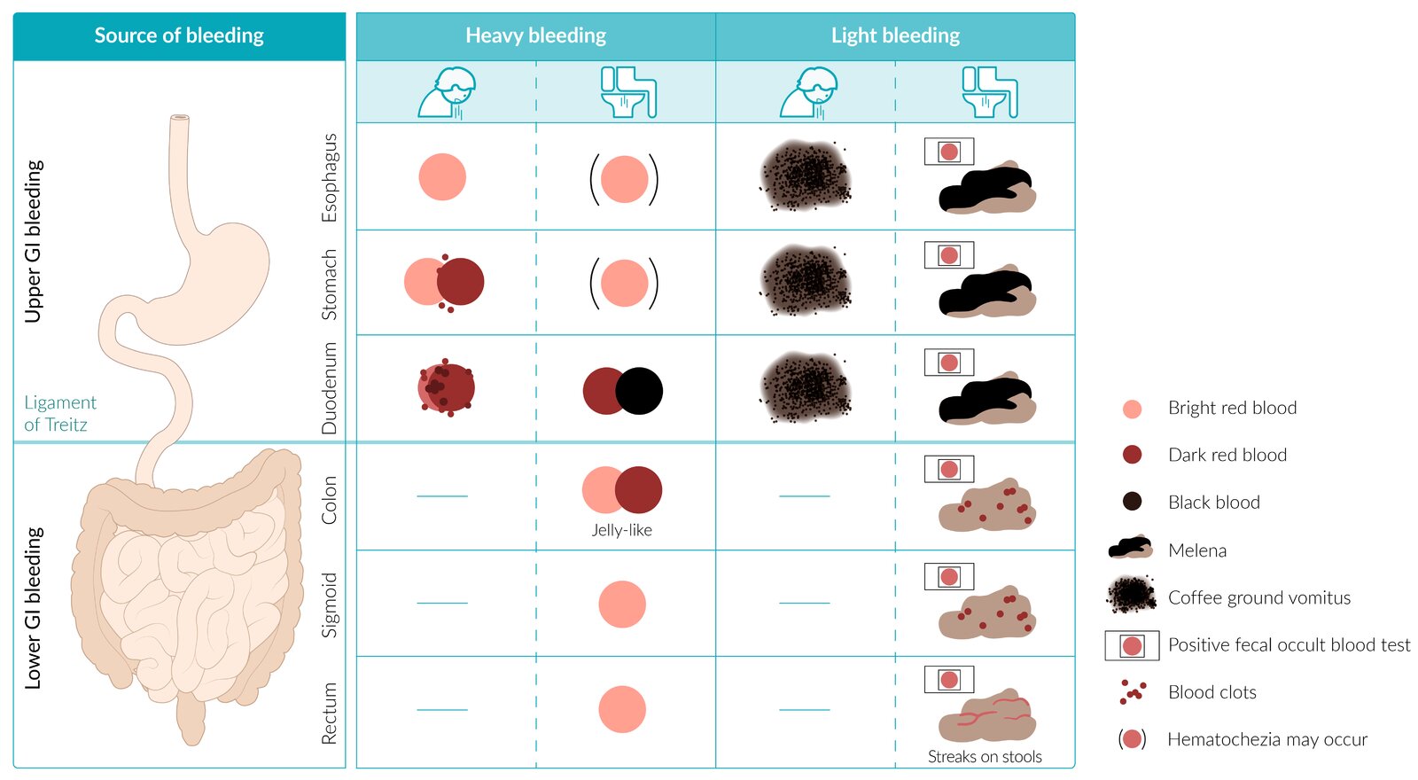 Gastrointestinal bleeding