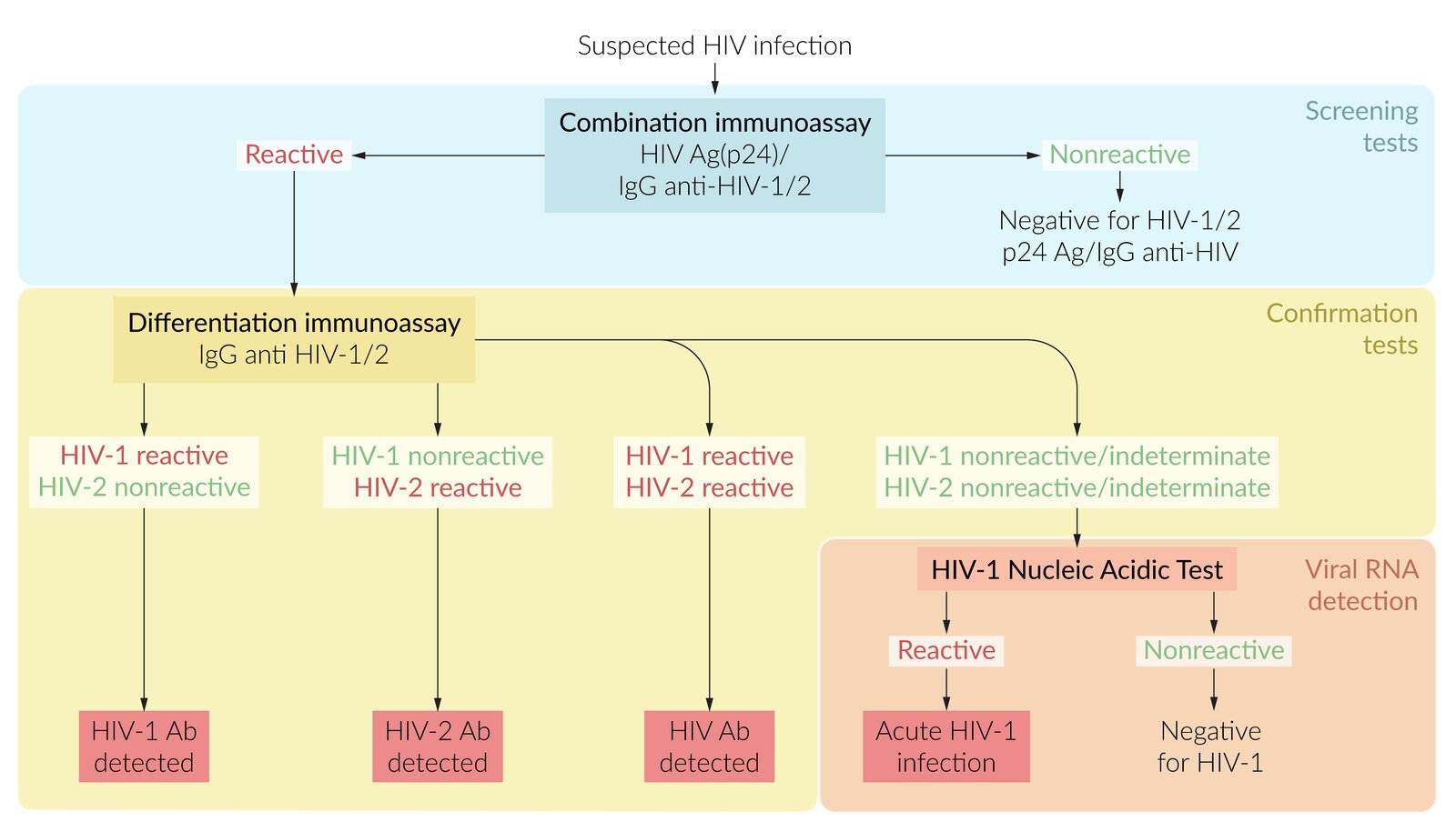 HIV diagnostic