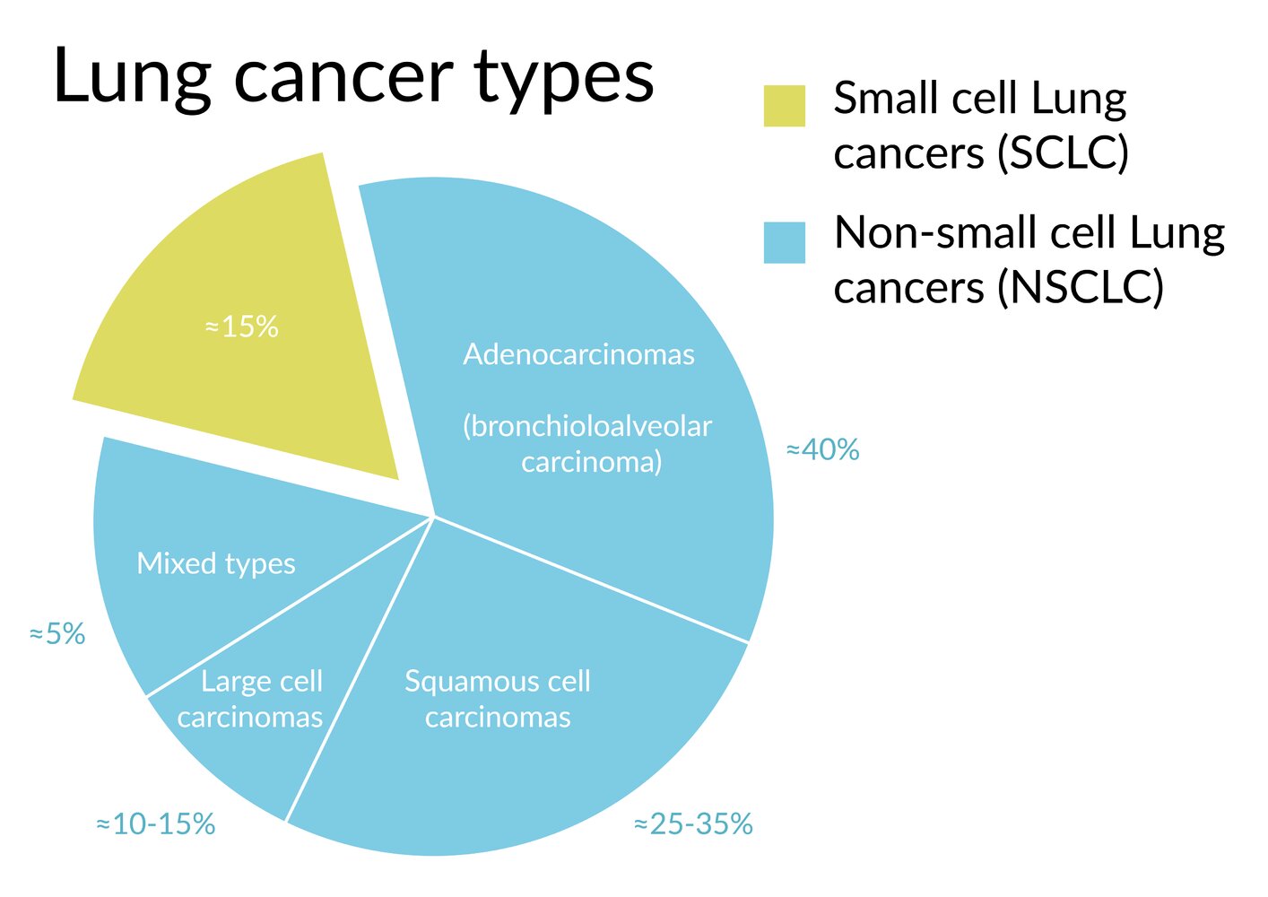 Lung cancer types