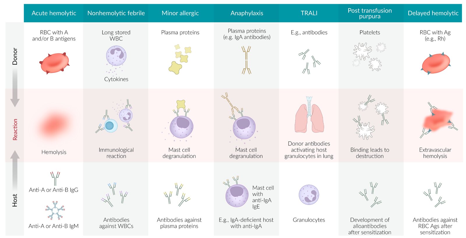 Transfusion reactions