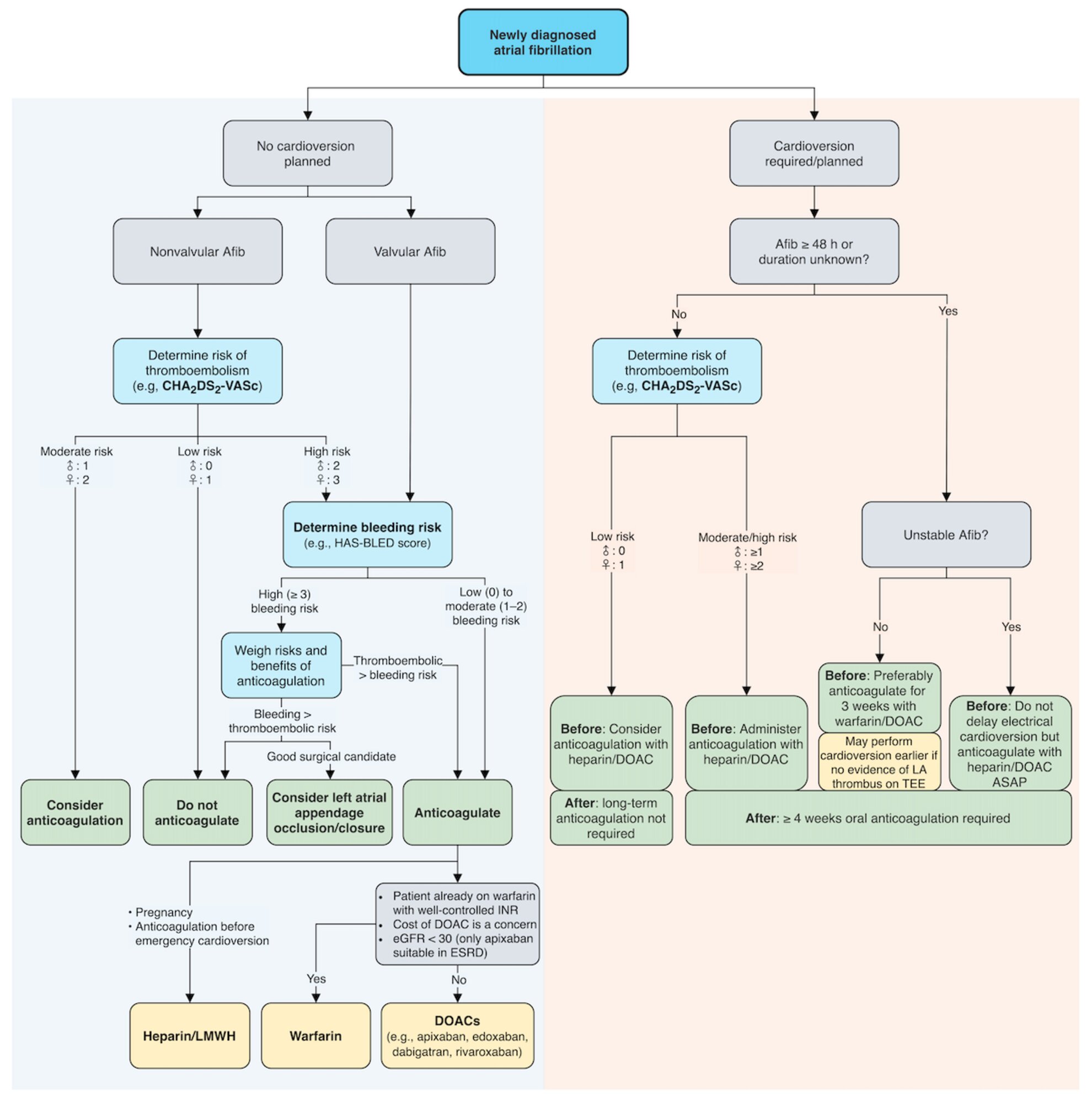 Anticoagulation for atrial fibrillation