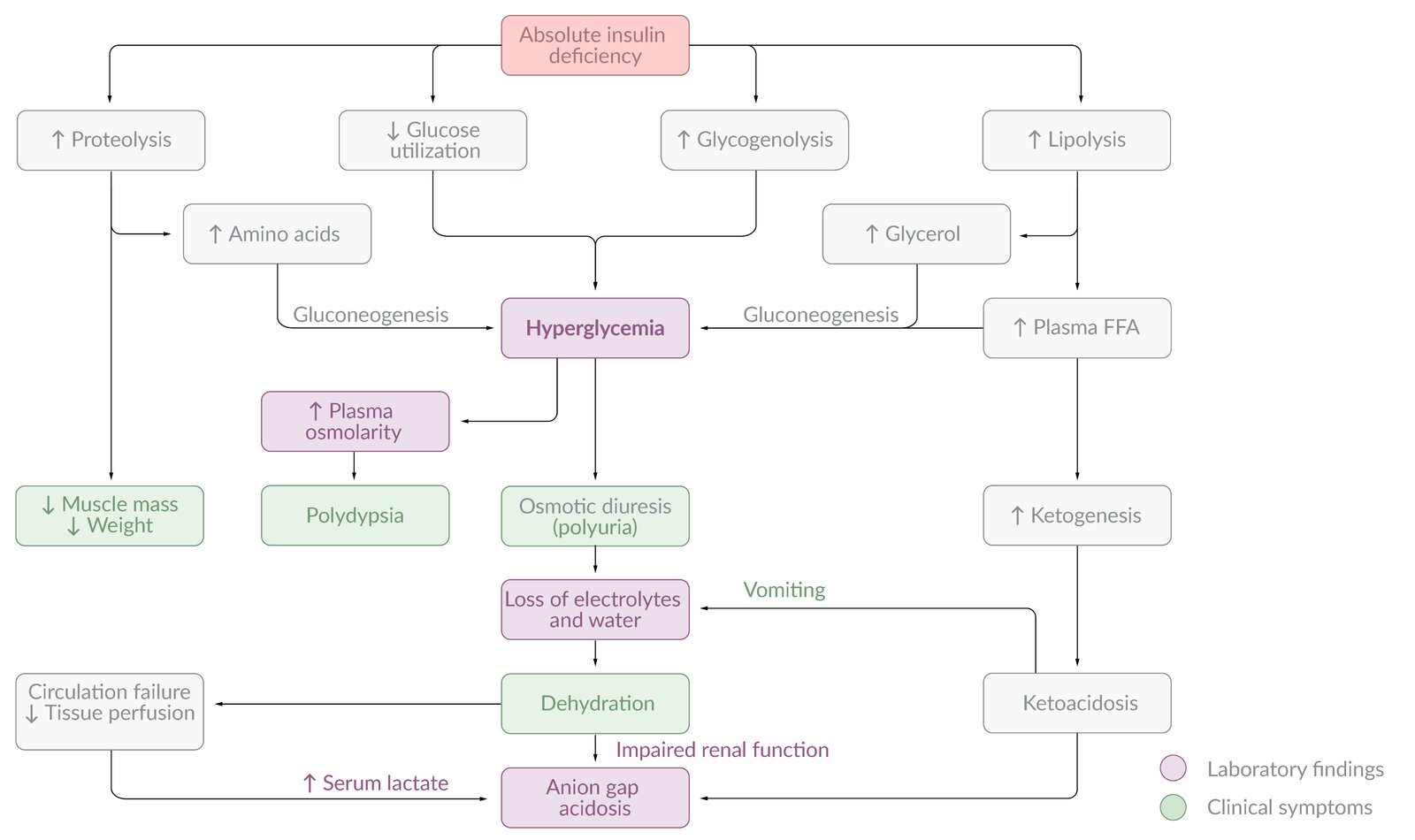 Consequences of insulin deficiency