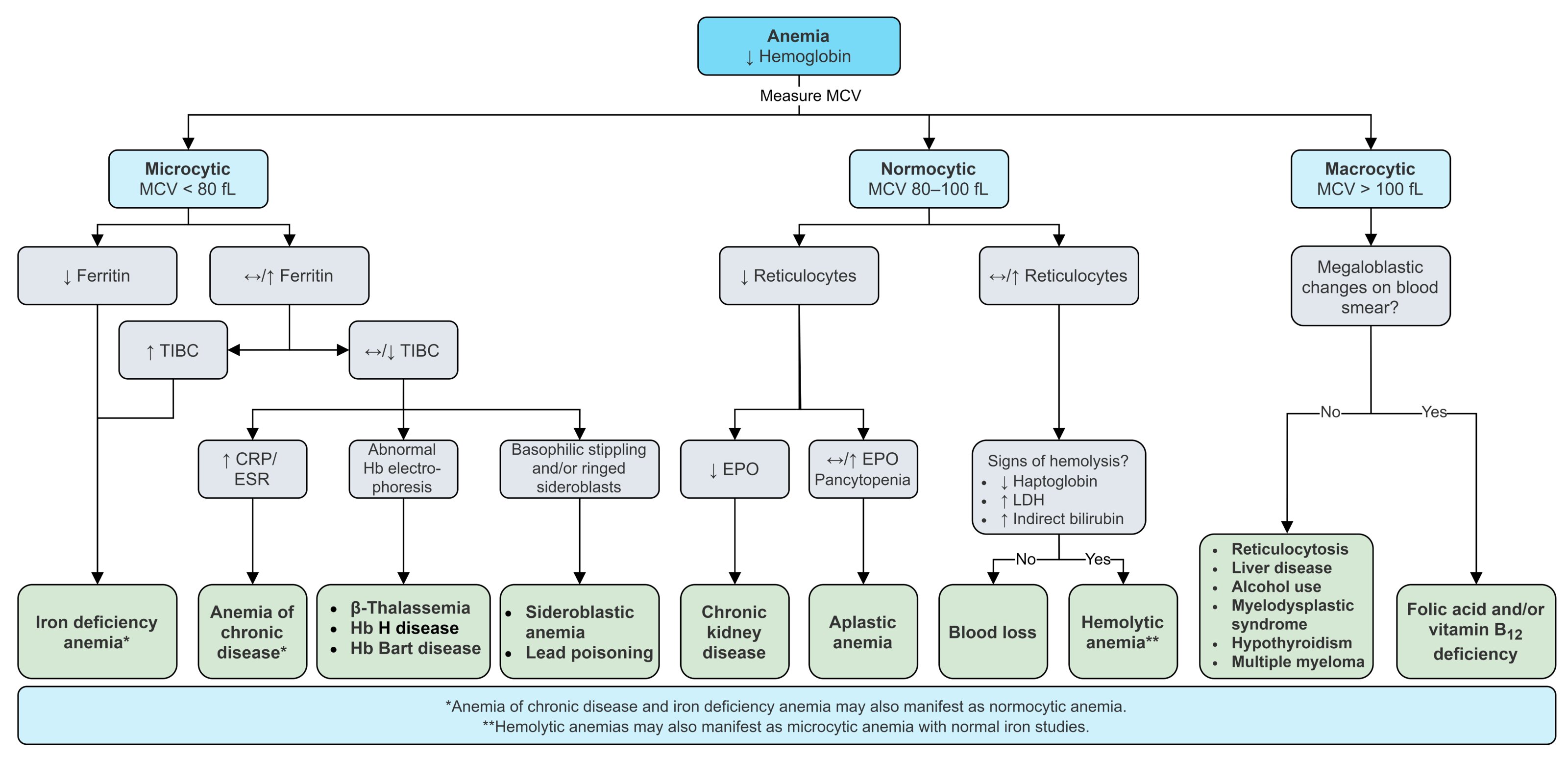 Diagnosis of anemia