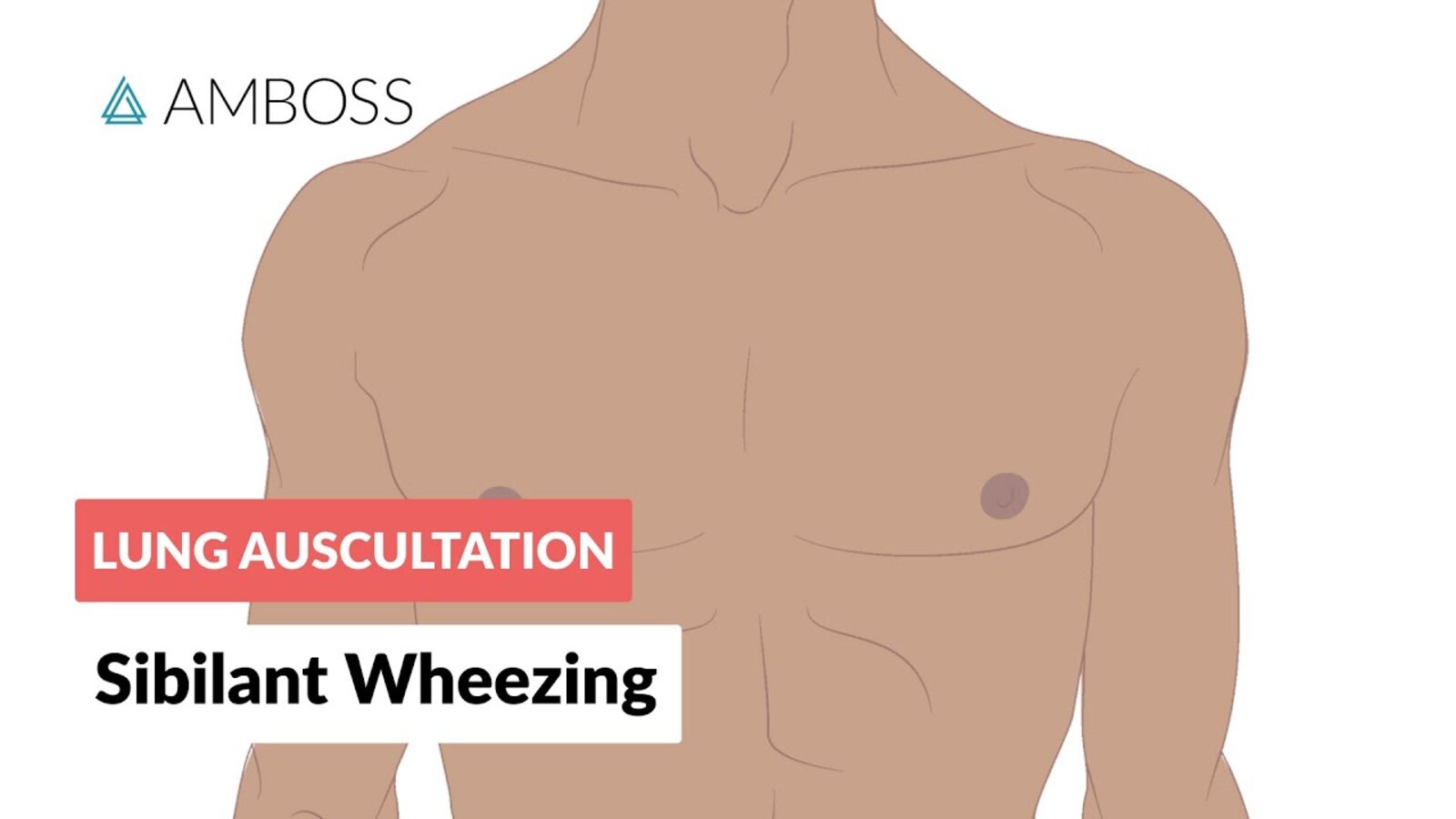 Sibilant Wheezing - Lung Auscultation - Episode 4 LC