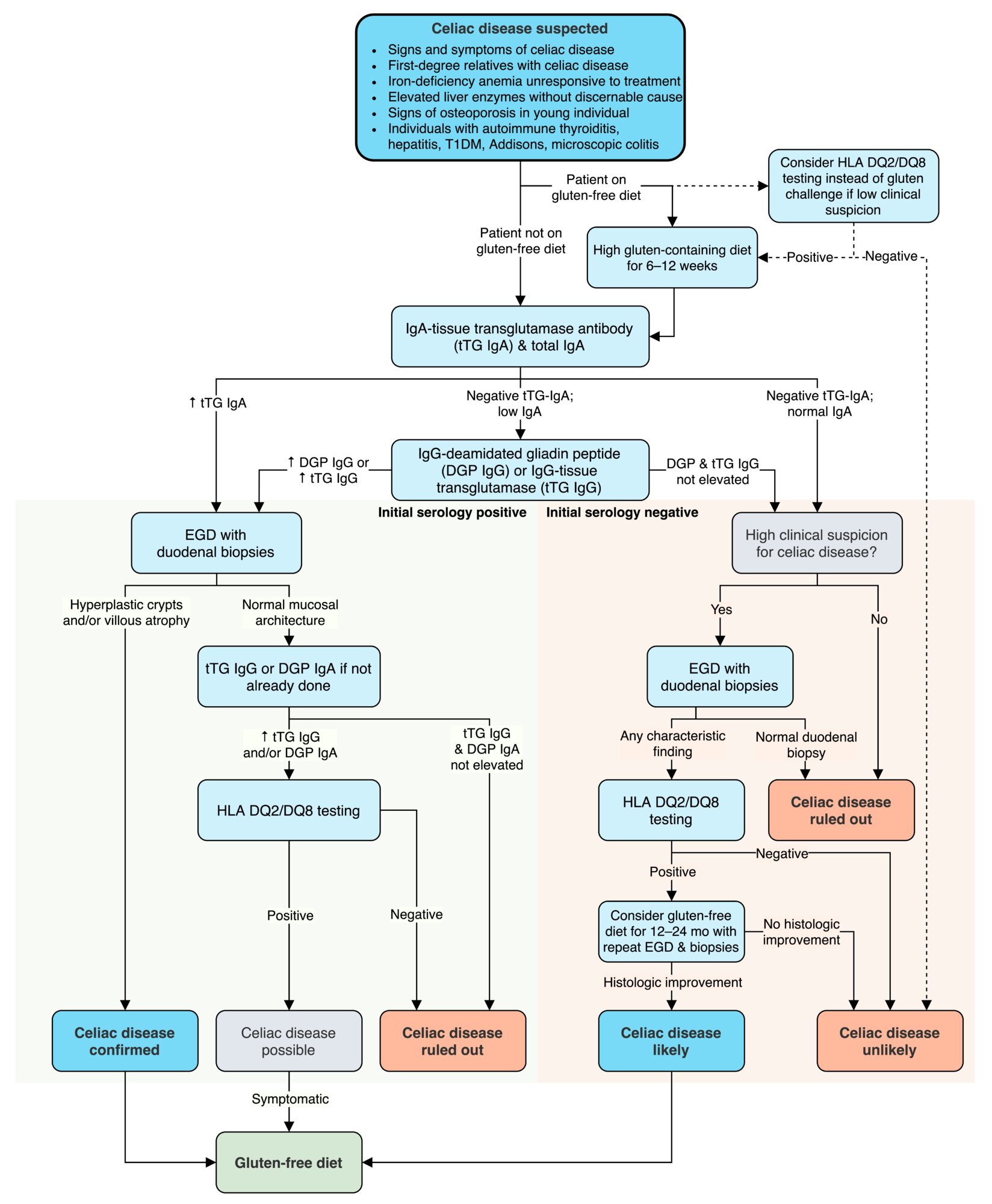 Approach to celiac disease