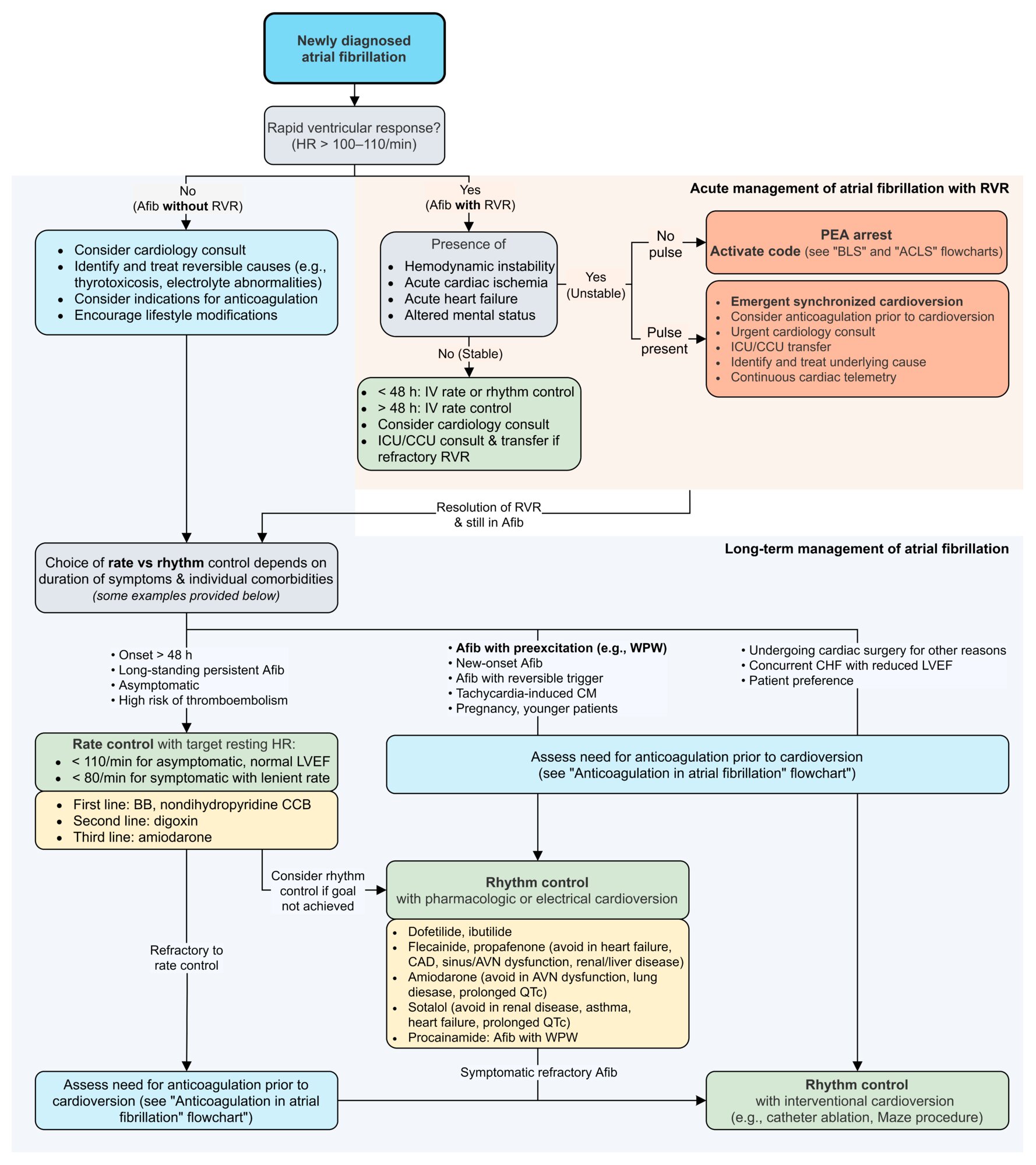 Management of newly diagnosed atrial fibrillation