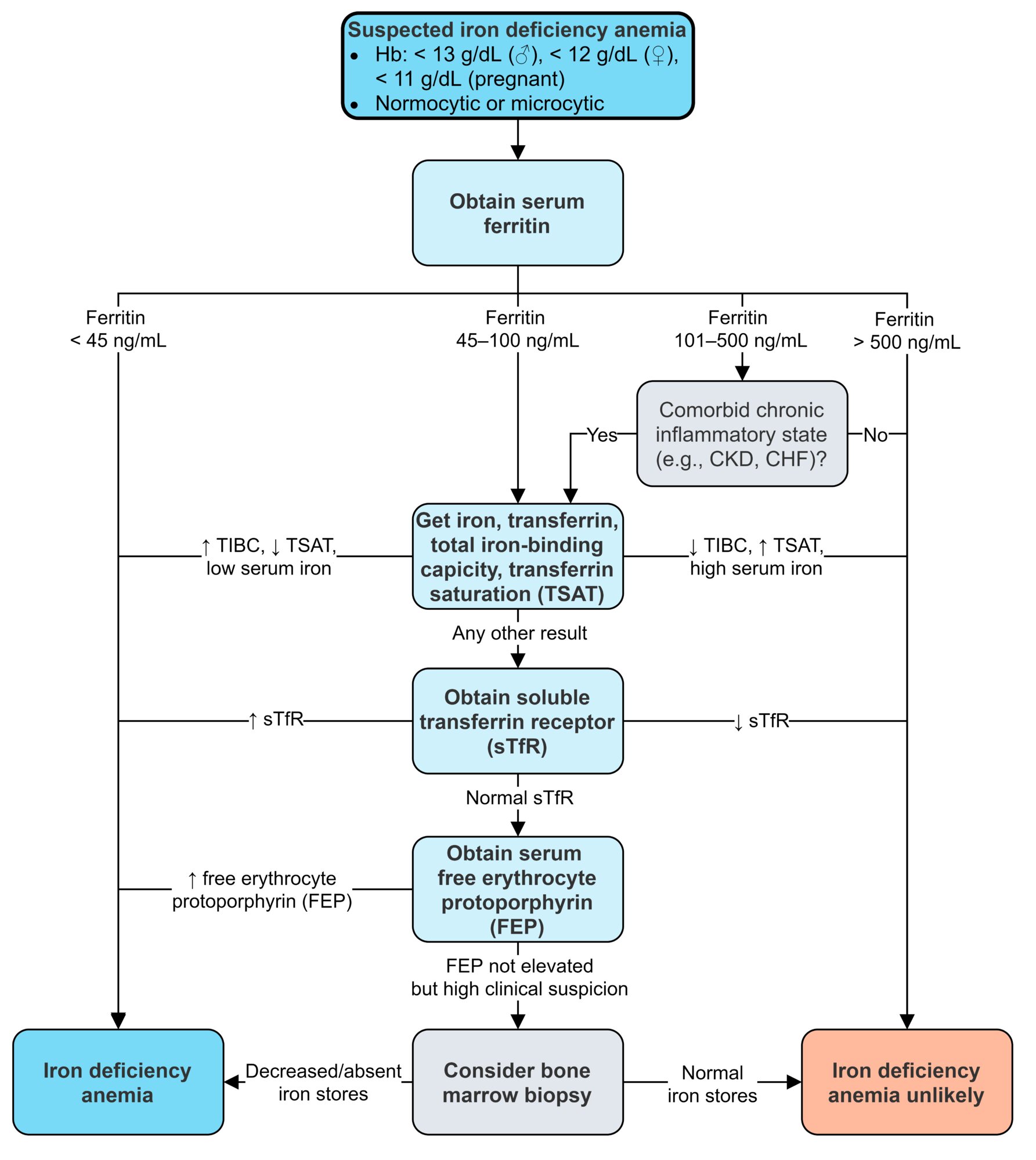 Evaluation of suspected iron deficiency anemia