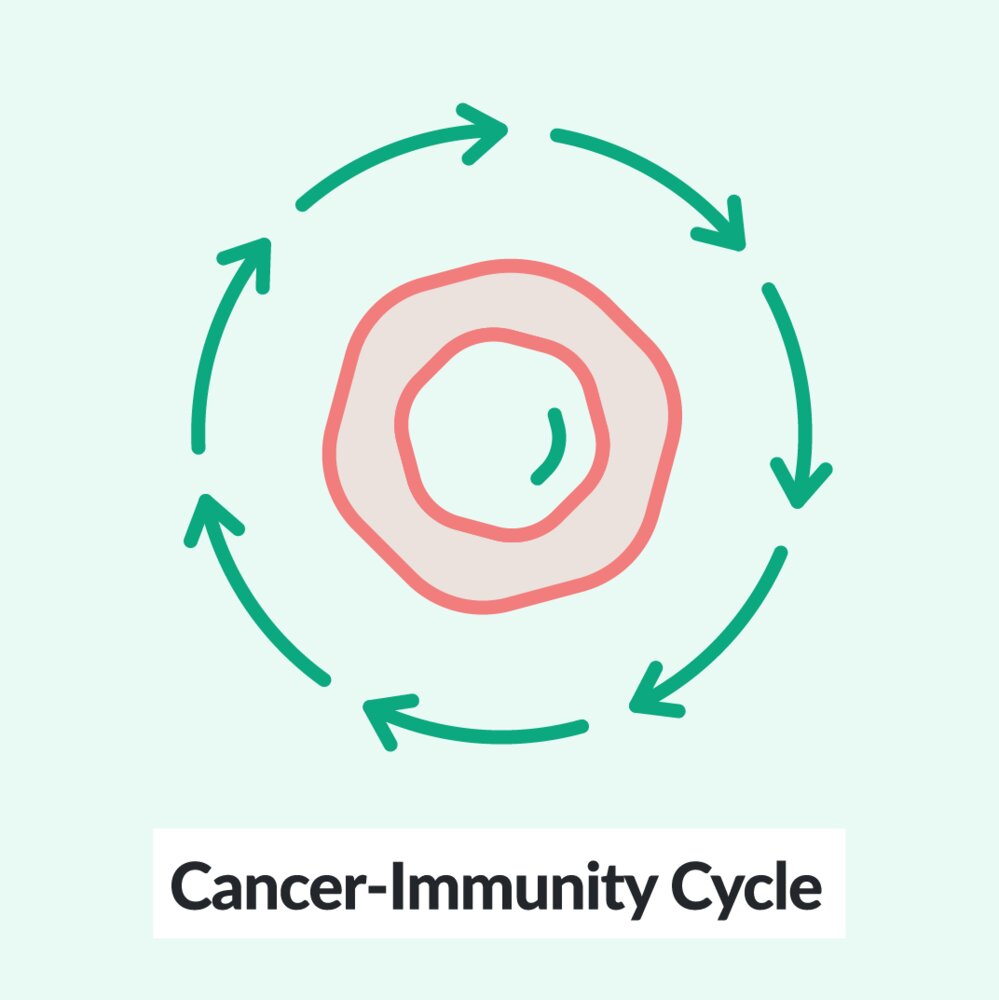Cancer-Immunity Cycle: 7 Steps