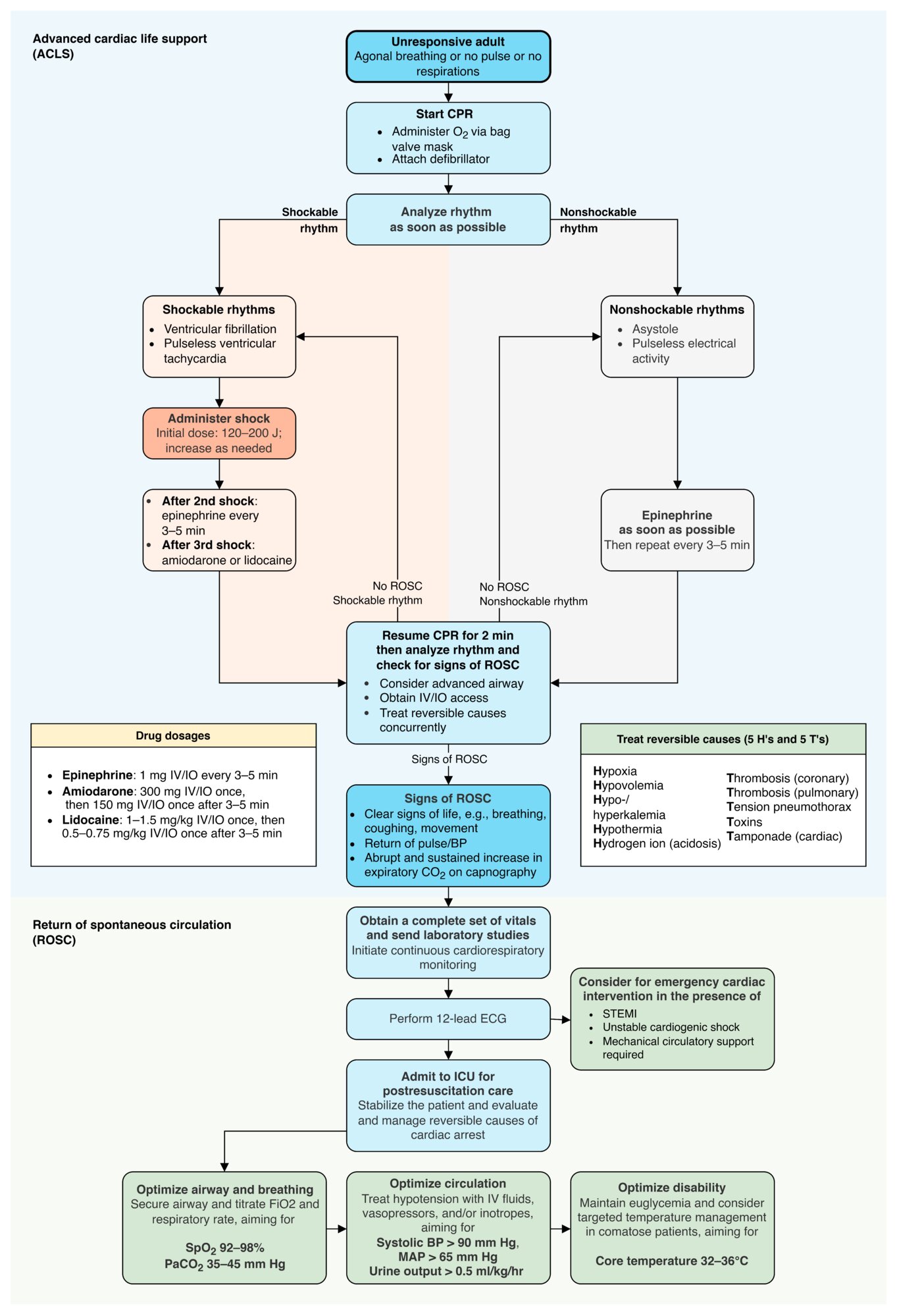 Advanced cardiac life support (ACLS)