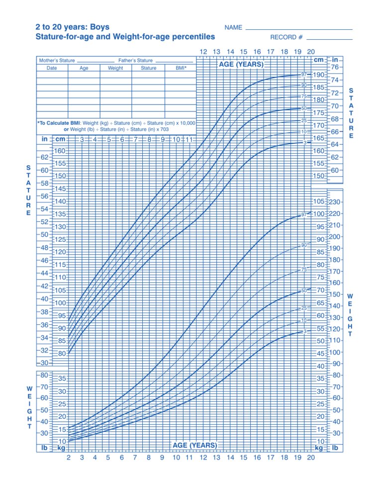 Stature- and weight-for-age percentiles (male individuals 2–20 years; 3ʳᵈ–97ᵗʰ percentiles)