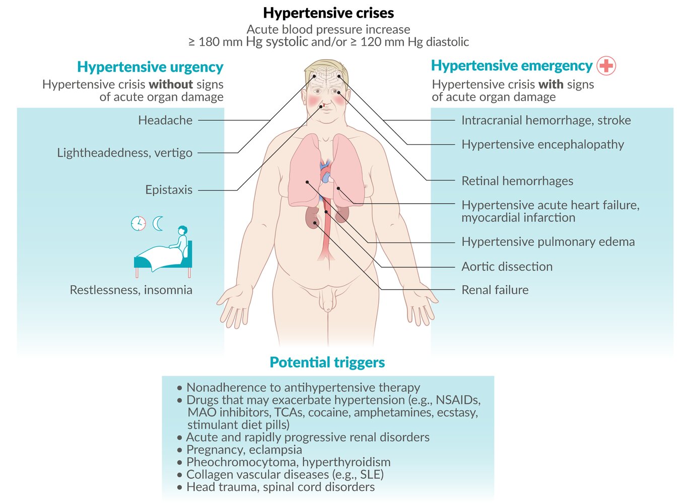 Hypertensive crises fact sheet