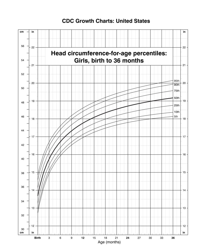 Head circumference-for-age percentiles (girls 0–36 months)
