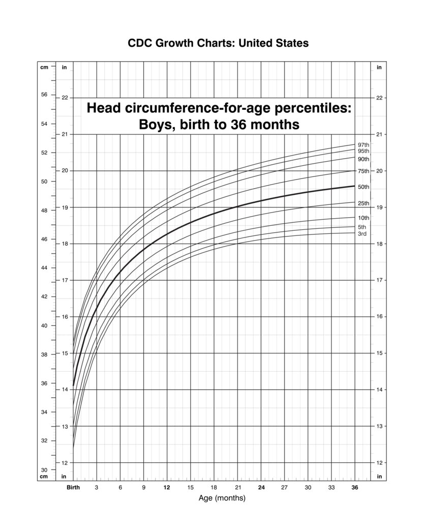 Head circumference-for-age percentiles (boys 0–36 months)