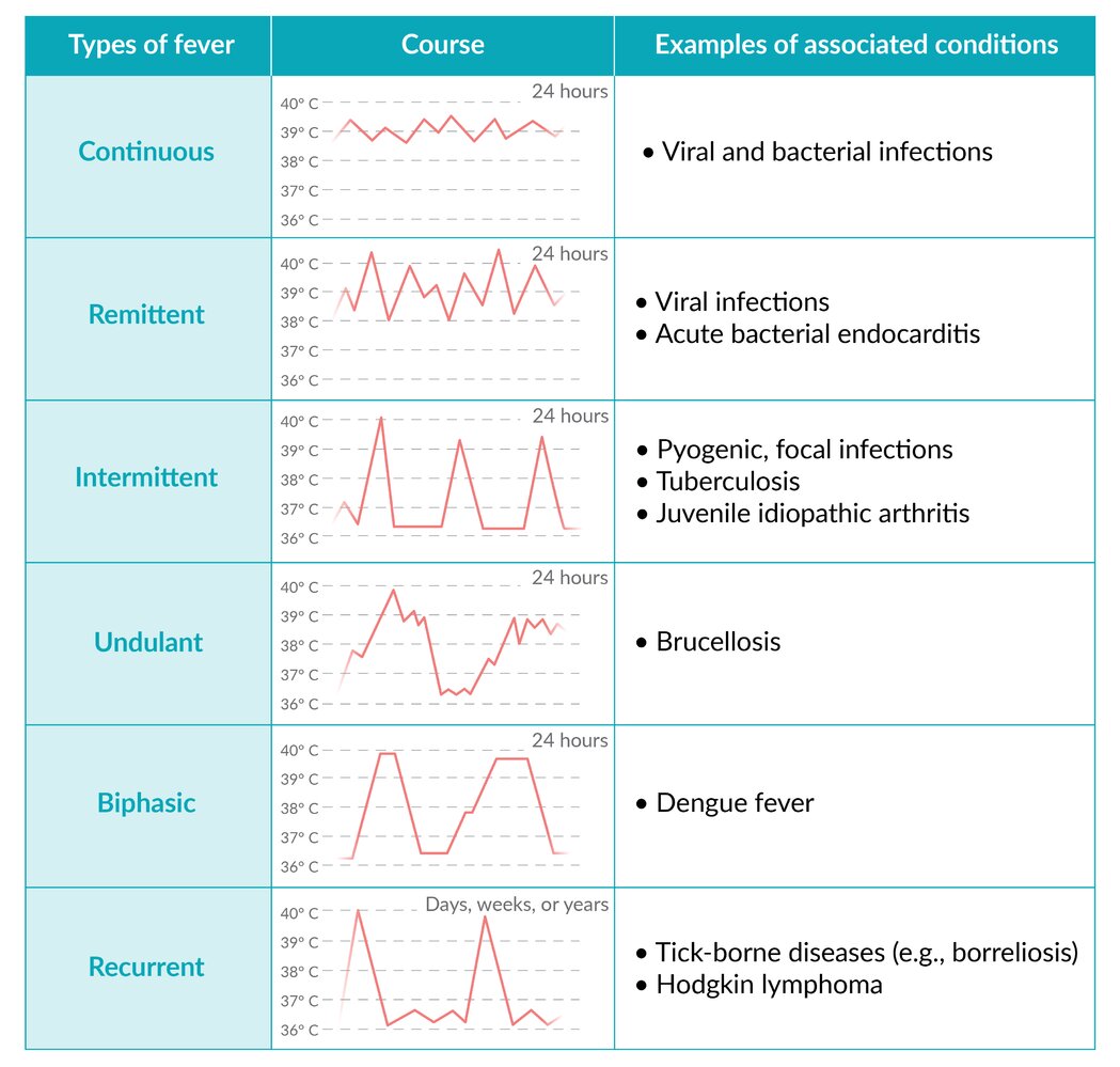 Fever patterns