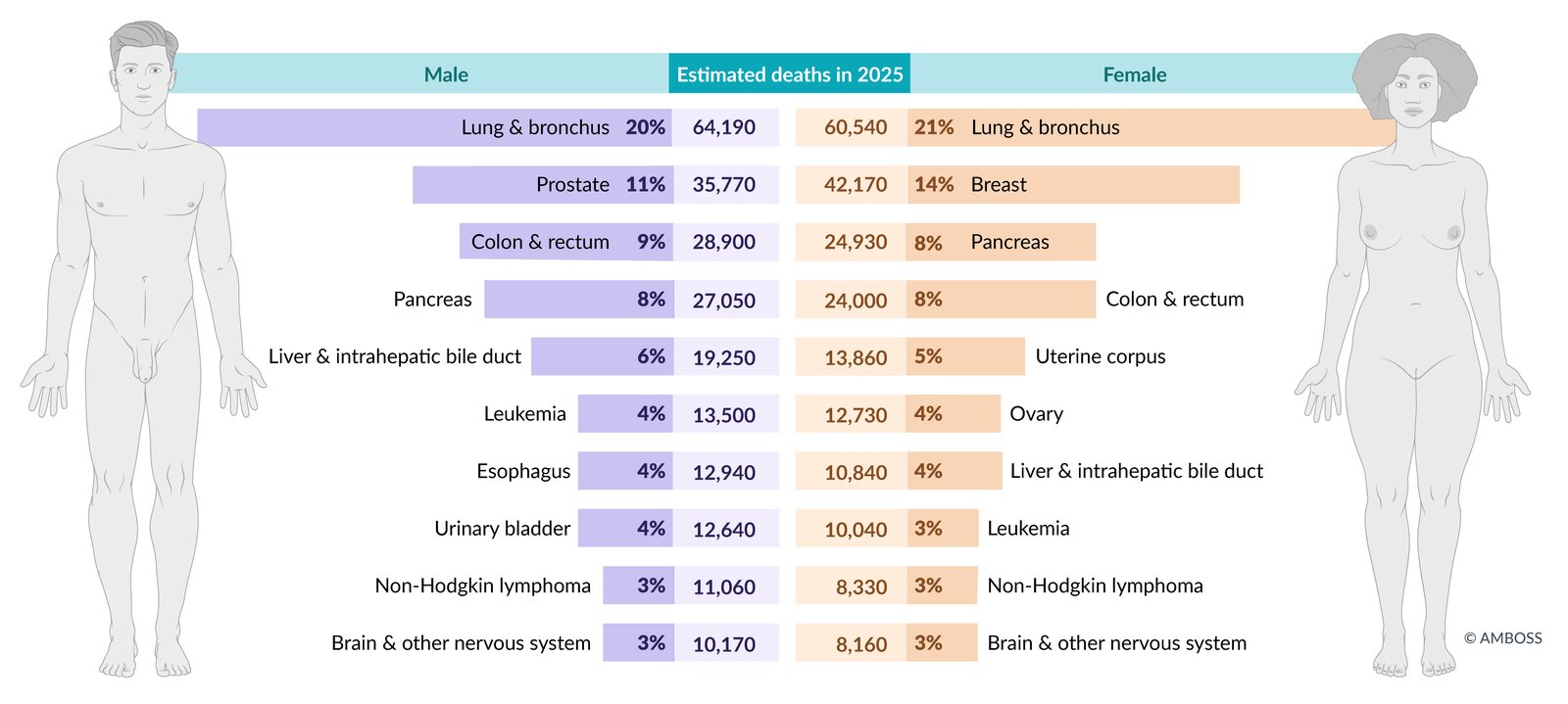 Cancer mortality in the US (2025 estimates)