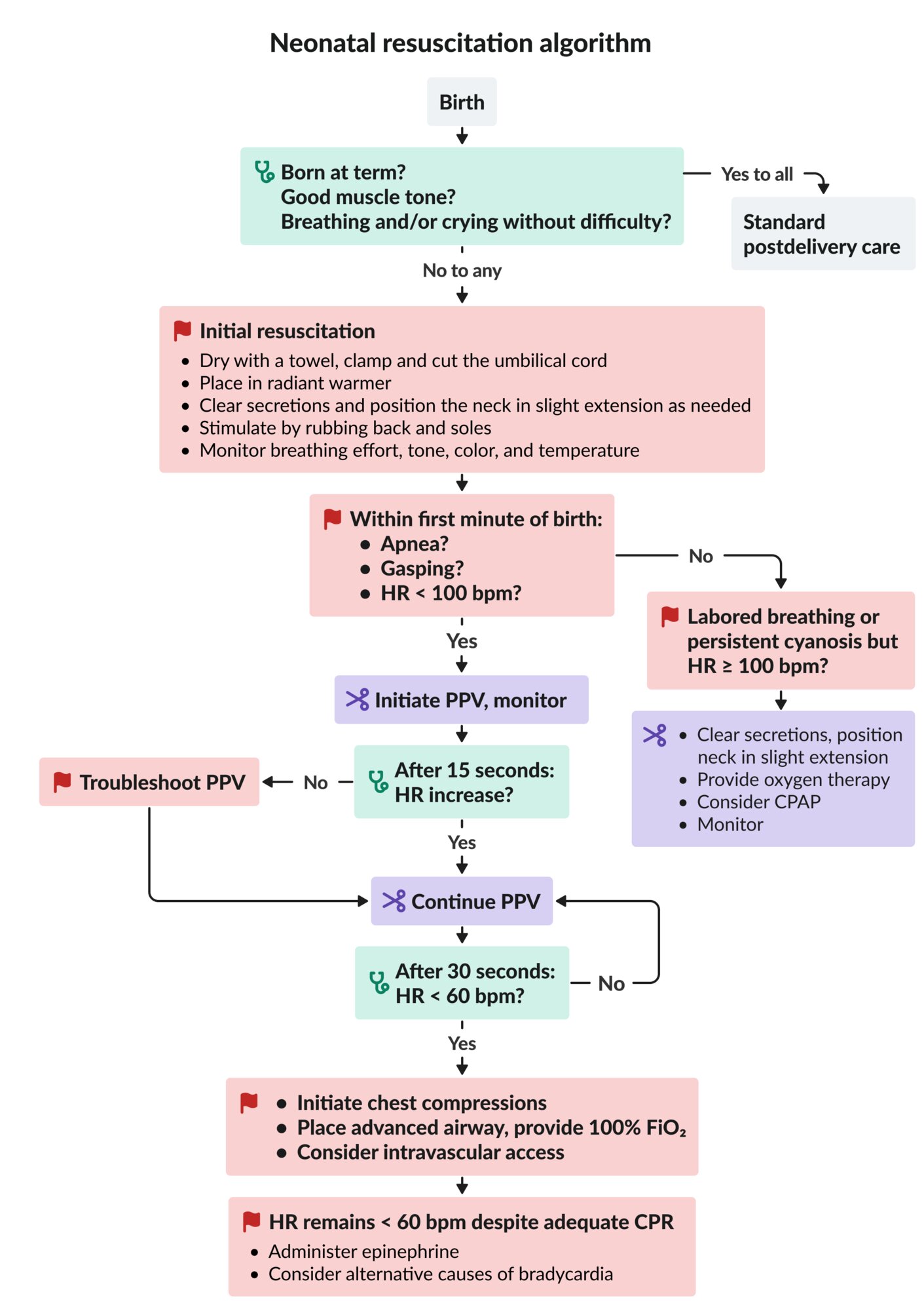 Neonatal resuscitation algorithm