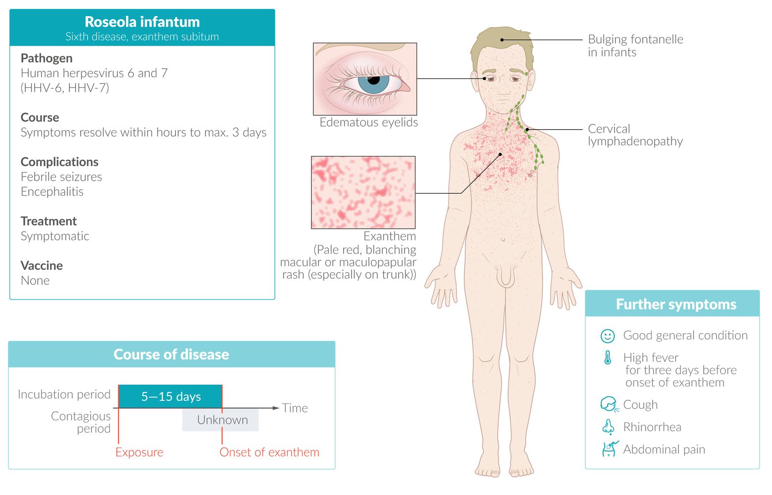 Roseola infantum (sixth disease) fact sheet