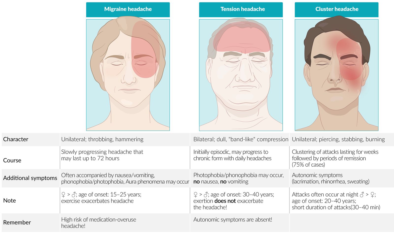 Differential diagnoses of primary headaches fact sheet