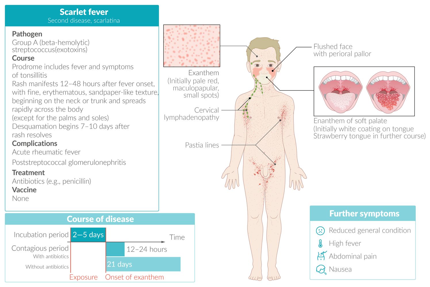 Scarlet fever fact sheet