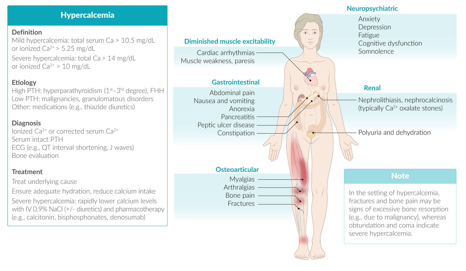 Hypercalcemia fact sheet