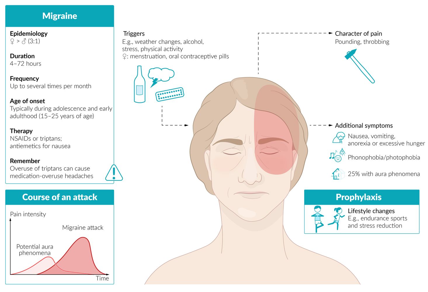 Migraine fact sheet