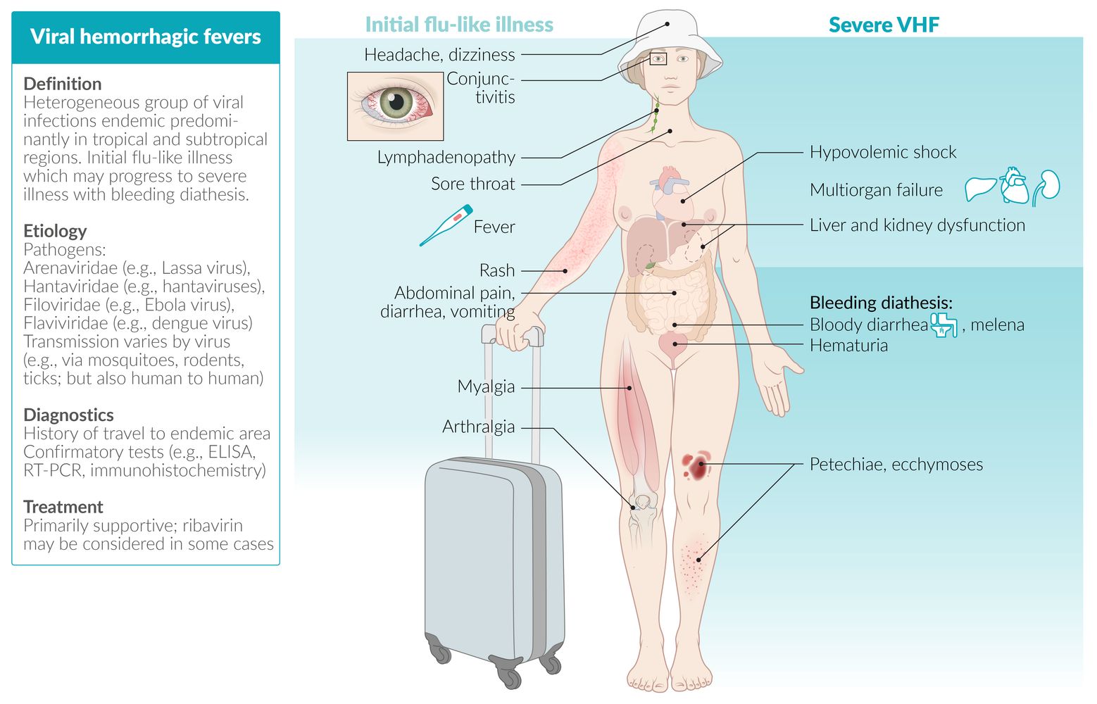 Viral hemorrhagic fevers fact sheet