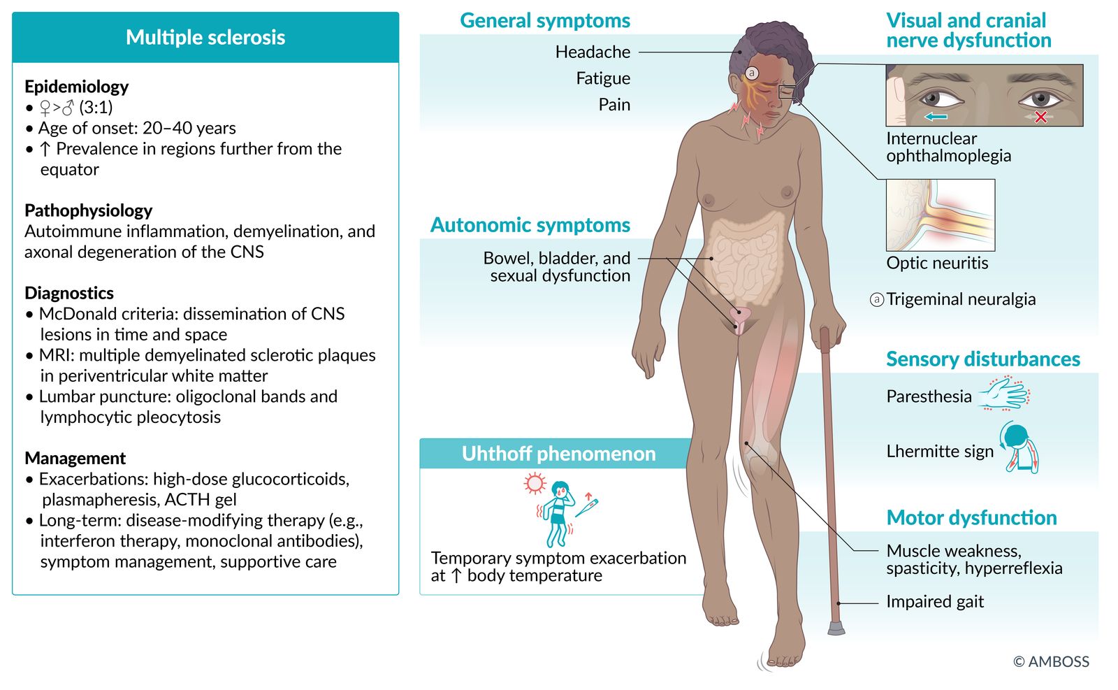 Multiple sclerosis fact sheet