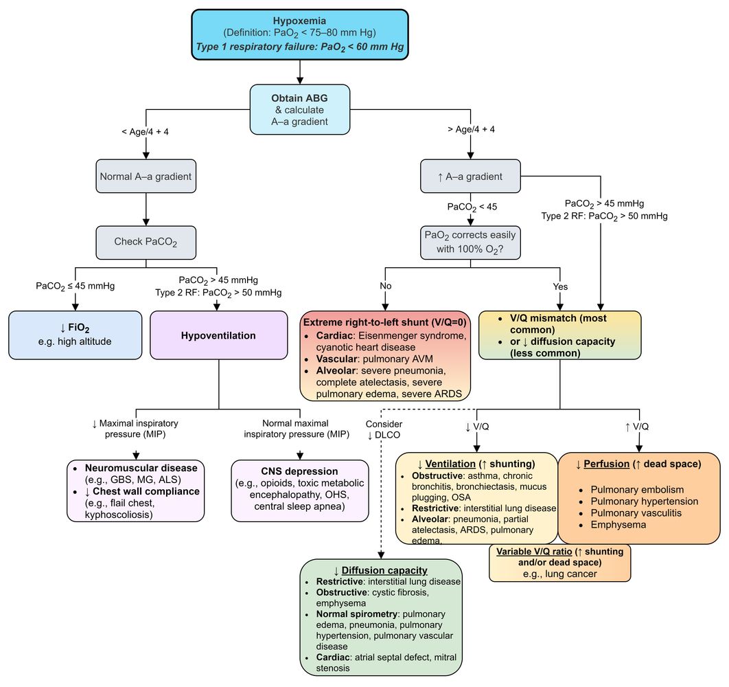 Hypoxemia workup